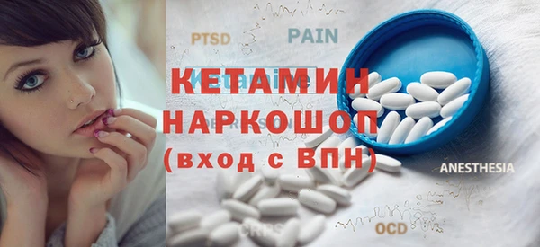 прущие грибы Гусев