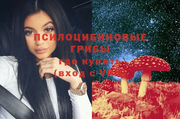 прущие грибы Гусев