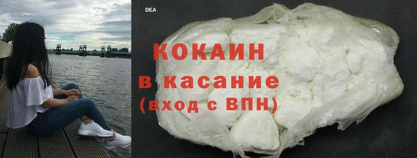прущие грибы Гусев