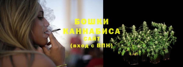 прущие грибы Гусев