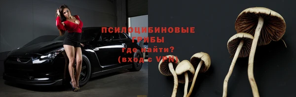 гидропоника Гусь-Хрустальный