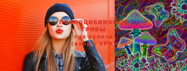 гидропоника Гусь-Хрустальный