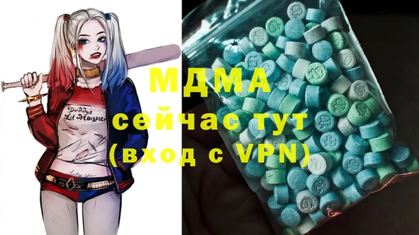 прущие грибы Гусев