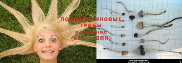 метадон Гусиноозёрск