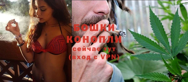 прущие грибы Гусев