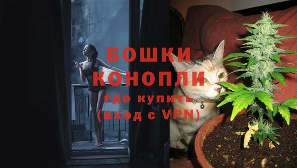 гидропоника Гусь-Хрустальный