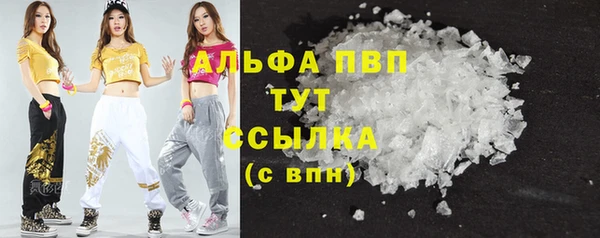 прущие грибы Гусев